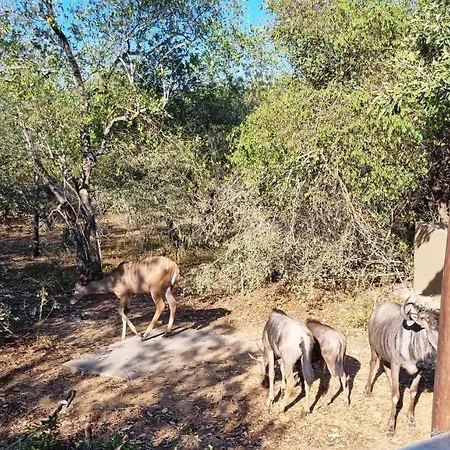 Greater Kruger View - Luxury Bush Villa Marloth Park Exterior foto