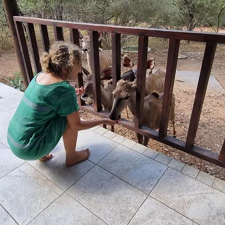 Greater Kruger View - Luxury Bush Villa Marloth Park Exterior foto
