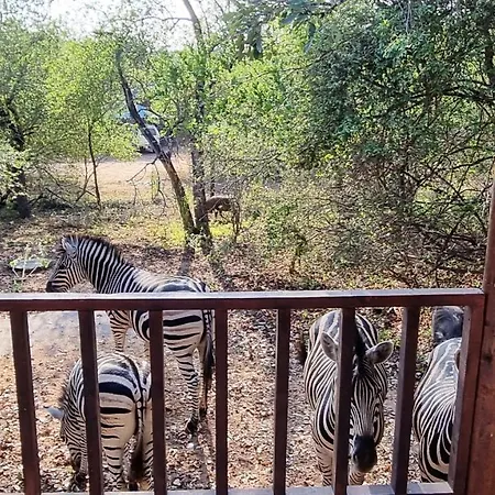 Greater Kruger View - Luxury Bush Villa Marloth Park Exterior foto