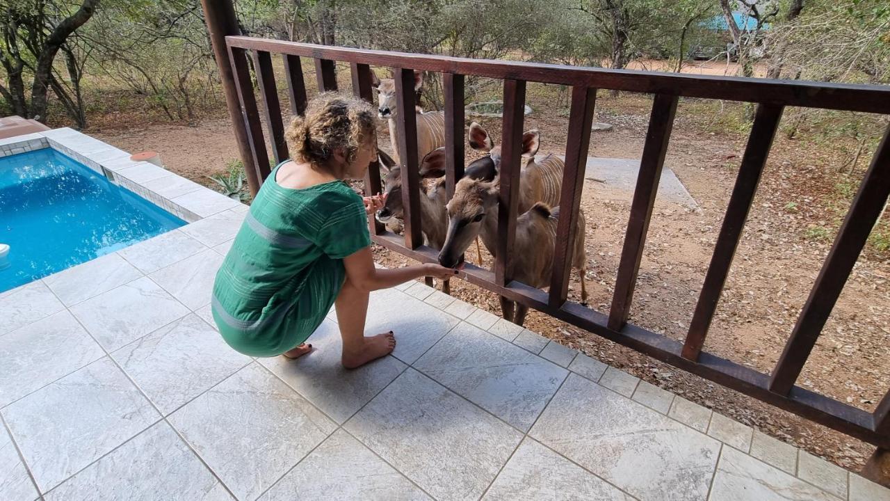 Greater Kruger View - Luxury Bush *