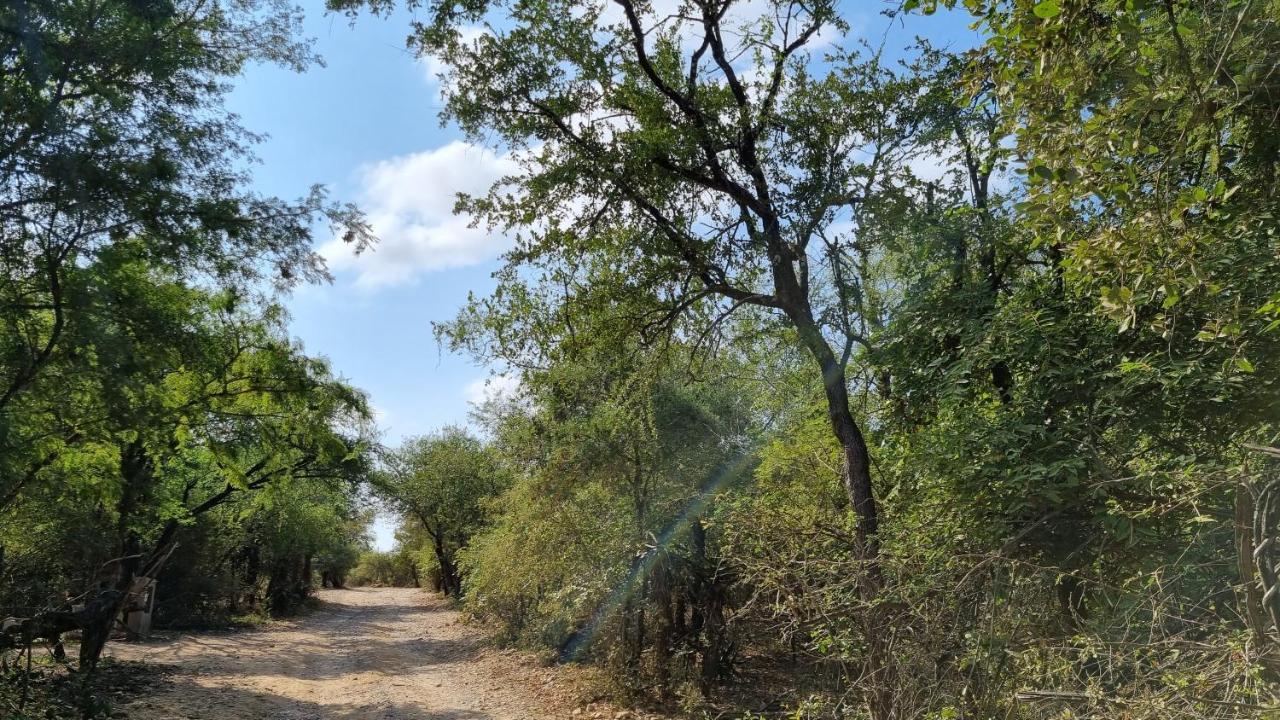 Greater Kruger View - Luxury Bush Vakantiehuis