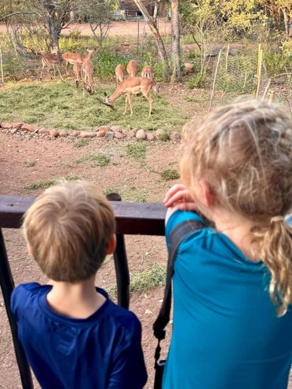Greater Kruger View - Luxury Bush Holiday home